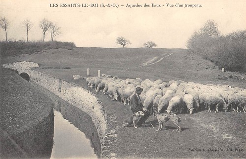 Cpa les essarts roi - le, /