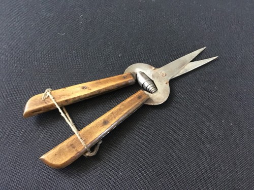Outil ancien secateur de - secateur,