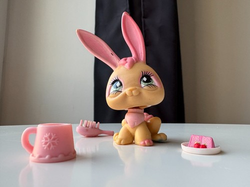 Petshop lapin lièvre