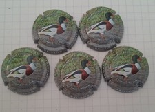 LOT 5 Capsules De Champagne