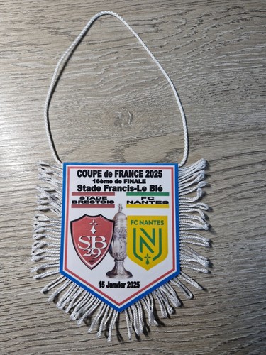 Fanion 16ème finale - fanion, coupe