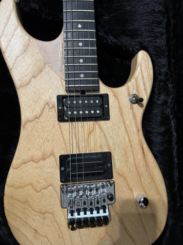 2022 washburn swamp ash - 2022,