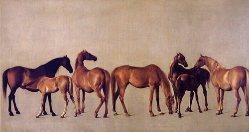 Mares and foals without - without, a