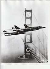 US NAVY BLUE ANGELS PATROUILLE ACROBATIC  AVION DE CHASSE AVIATION 25 X 20 cm