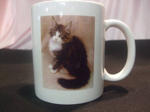 Tasse mug motif chaton - motif,