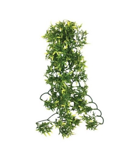 Plante artificielle croton - plante,