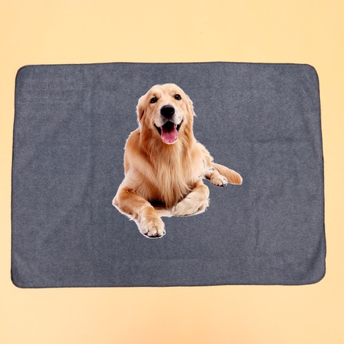 Pipi pad chien - pad,