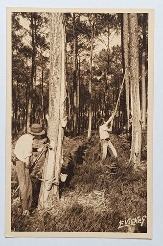 Cpa les landes - cpa, le