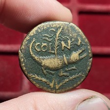 #75-244 ~ As / Dupondius de Nîmes - 11,82g