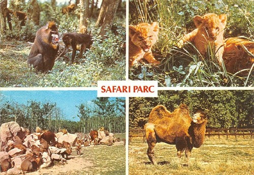 Safari parc peaugres - peaugres,