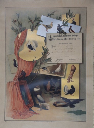 Affiche pigeon 1892 - affiche,