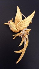 Sphinx-grande broche "oiseau du paradis"