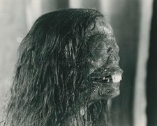 THE COMPANY OF WOLVES  1984