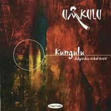 Didgeridoo Tribal Festif -