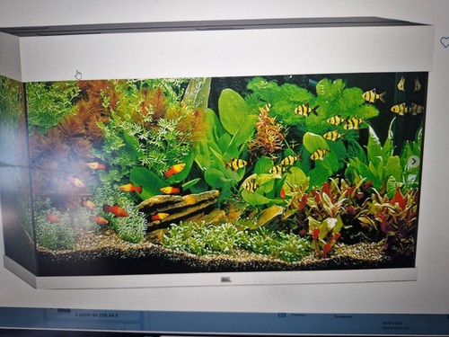 Aquarium juwel servi mois - servi,