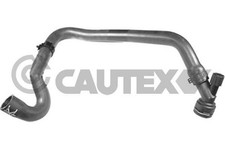 DURITE DE RADIATEUR INFERIEUR