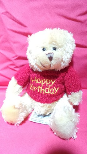 Petit doudou ours - petit,