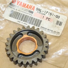 PIGNON DE 5 eme PRIMAIRE YZ