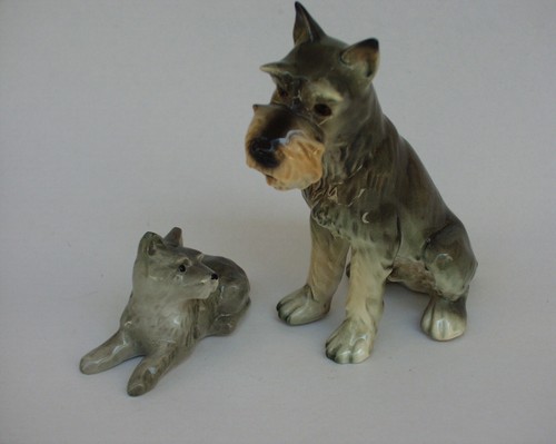 Chiens schnauzer porcelaine - chiens,