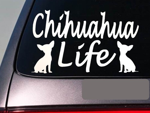 Chihuahua life sticker - chihuahua, 6"
