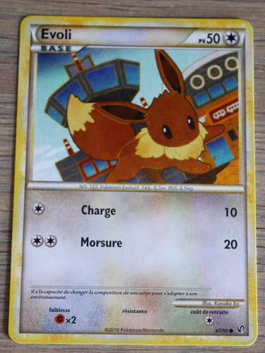 Carte pokémon evoli - ,