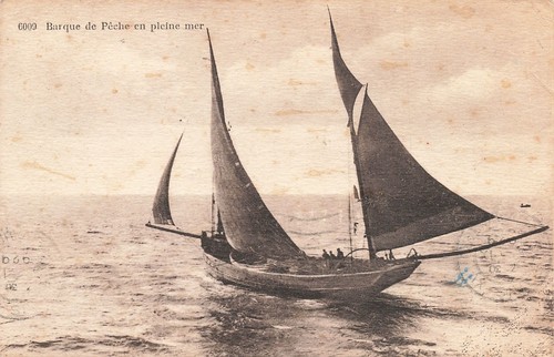 Barque peche - barque,