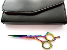 Revêtement Titane 15.2cm Coiffure Ciseaux En Acier Japonais en Un Noir Étui