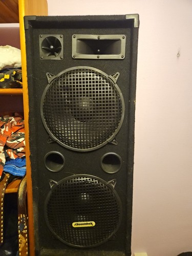 Enceinte sono