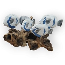 Poisson Essaim Sur Bois de