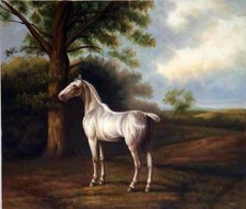 animal cheval tableau originale peinture huile sur toile signée / animal horse o