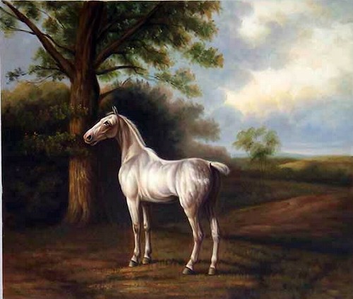 Animal cheval tableau - animal,