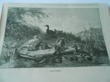 Gravure 1873 - Bain de Famille