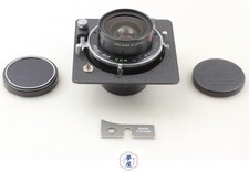 [Exc+5 w/ Cam] Horseman Tokyo