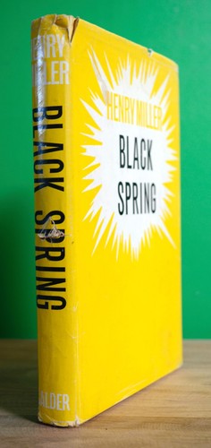 Black spring henry - spring",,