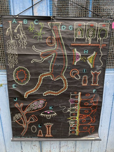 Affiche ancienne scolaire - affiche,