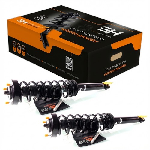 Macpherson amortisseur kit - macpherson, amortisseur-kit
