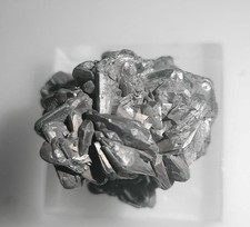 COLLECTIONS Fossiles