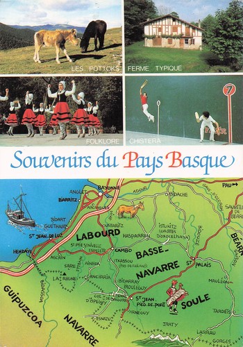 Bayonne les pottoks - bayonne,