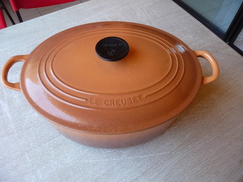 Cocotte ovale creuset en - cocotte, le