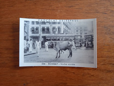Chocolat Delespaul Vignette n° 556 - BOMBAY : Vache sacrée