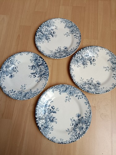 Assiettes anciennes terre - anciennes,