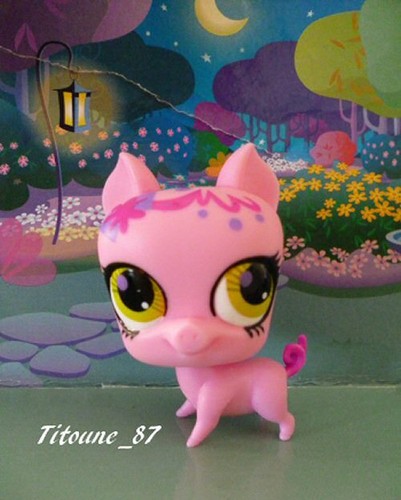 Littlest petshop cochon - -, (
