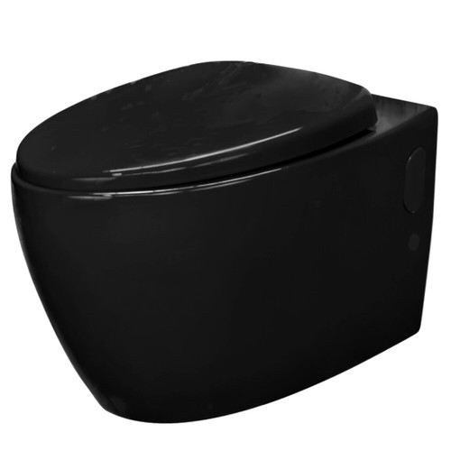 Toilette suspendu couleur - suspendu, de