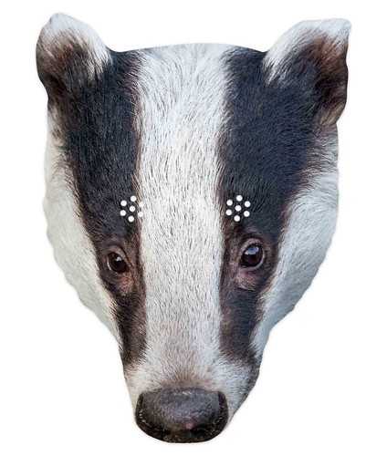 Blaireau animal simple - animal, 2d
