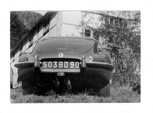 G1705 jaguar type france - jaguar,