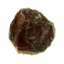 Lithophyse. 82.0 ct. Massif de