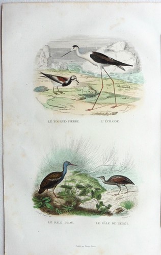 Edouard travies gravure - edouard,