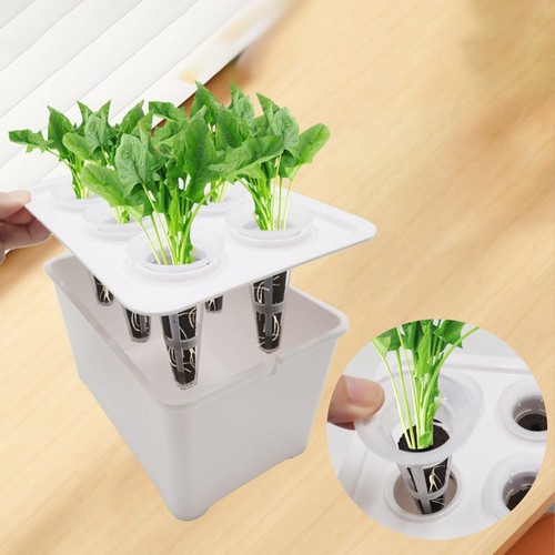 Kit culture herbes - kit,