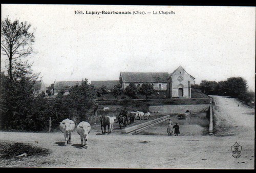 Lugny bourbonnais bovins - lugny-bourbonnais, (18)