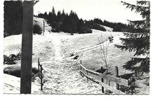 74  LA CHAPELLE D ABONDANCE  LE TELESKI